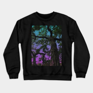 Moon Valley Crewneck Sweatshirt